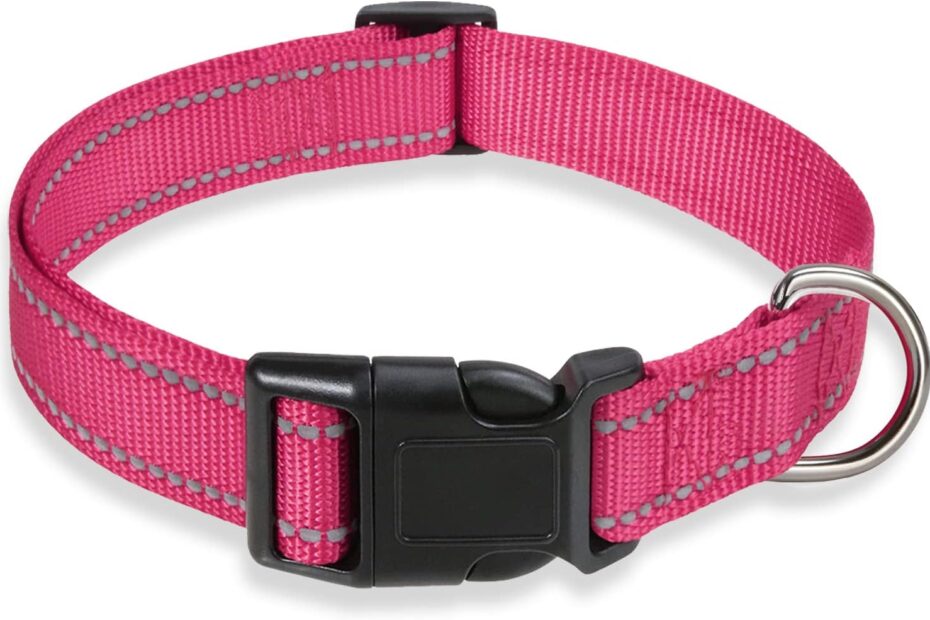 Stay Safe & Stylish: The Ultimate Reflective Dog Collar Review