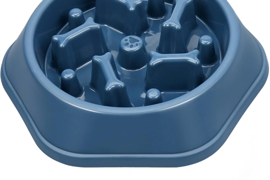 Stop Bloating: Review of the UPSKY Slow Feeder Dog Bowl!