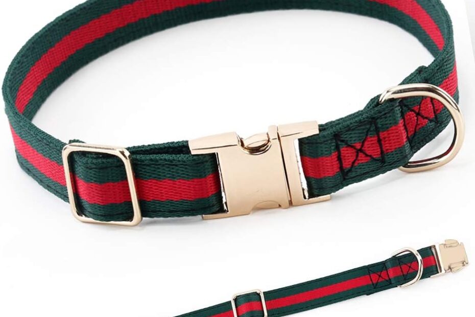 Style and Safety: The Ultimate Premium Dog Collar for Your Pooch