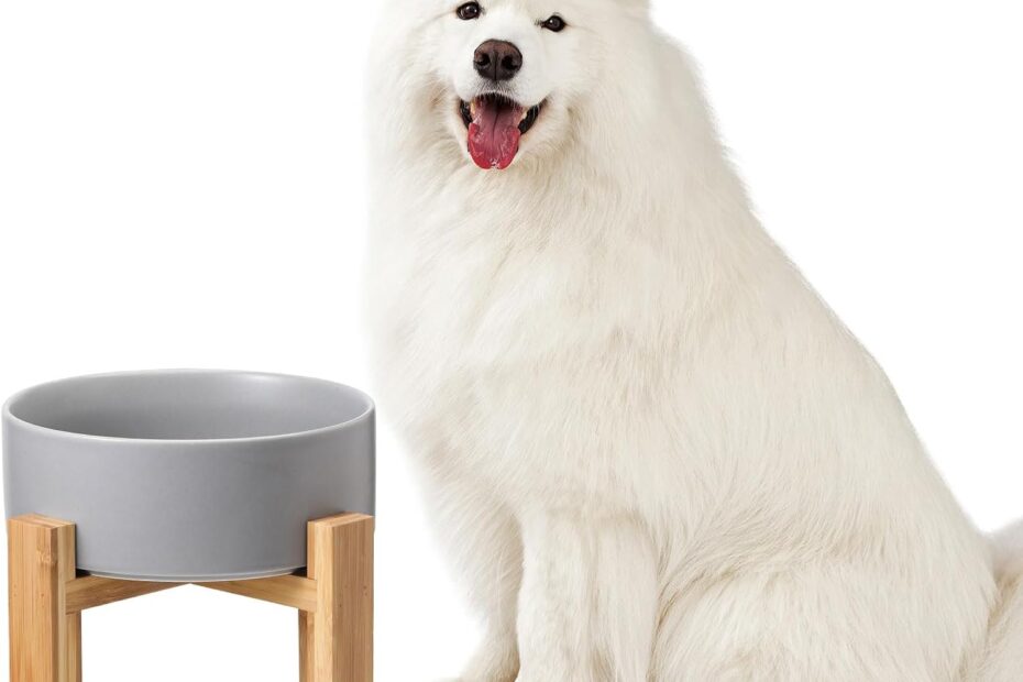 Style Meets Function: Review of the Elevated Ceramic Large Dog Bowl