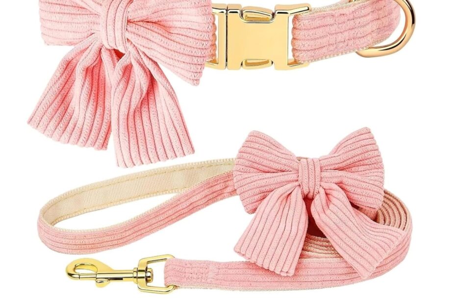 Stylish and Comfy: The Perfect Dog Collar and Leash Set Review