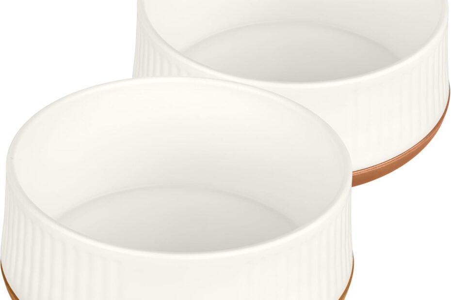 Stylish and Functional: Harry Barker Small Plastic Dog Bowls Reviewed!