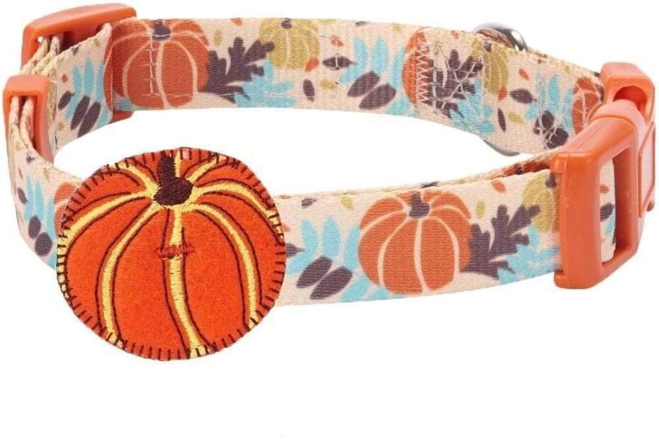 Stylish Comfort: Blueberry Pet Fall Dog Collar Review for Your Furry Friend