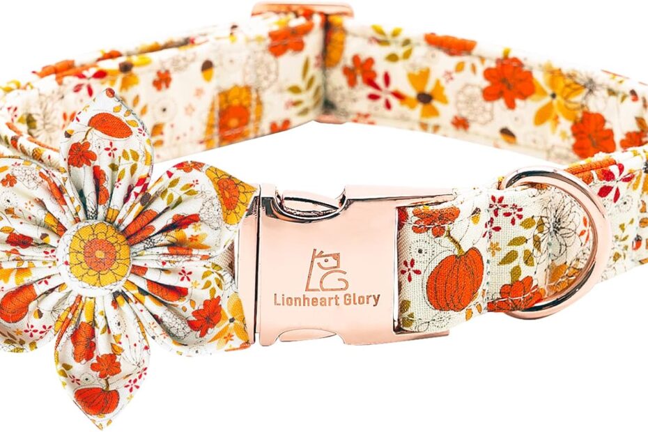 Stylish Comfort: Review of Lionheart Glory Premium Flower Dog Collars