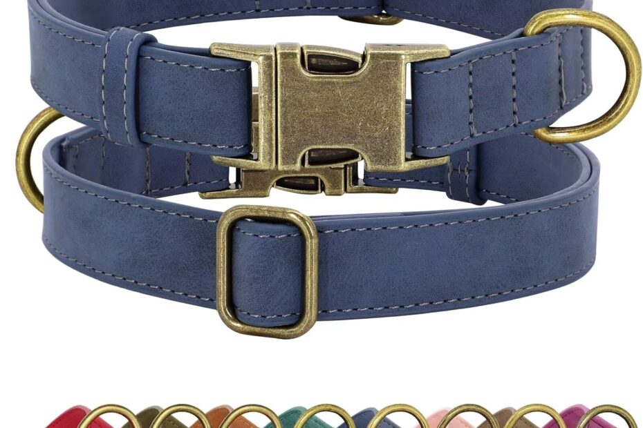 Stylish Comfort: Review of the Didog Soft PU Leather Dog Collar for Small Dogs