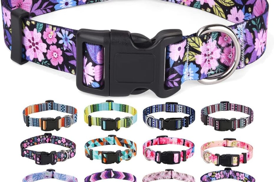 Stylish Comfort: The Bohemian Floral Dog Collar Review
