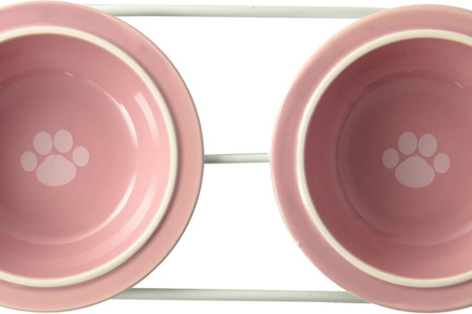 Stylish Dining for Tiny Tails: The PetRageous Toftees Paws Diner Review