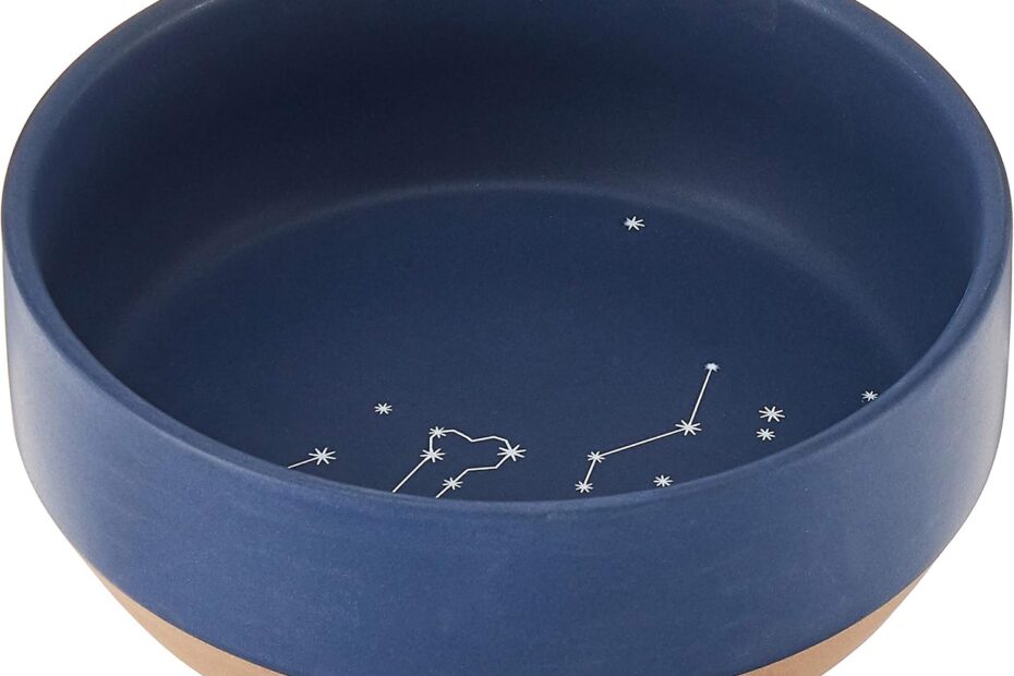 Stylish Dining for Your Pet: Review of the Celestial Stoneware Bowl