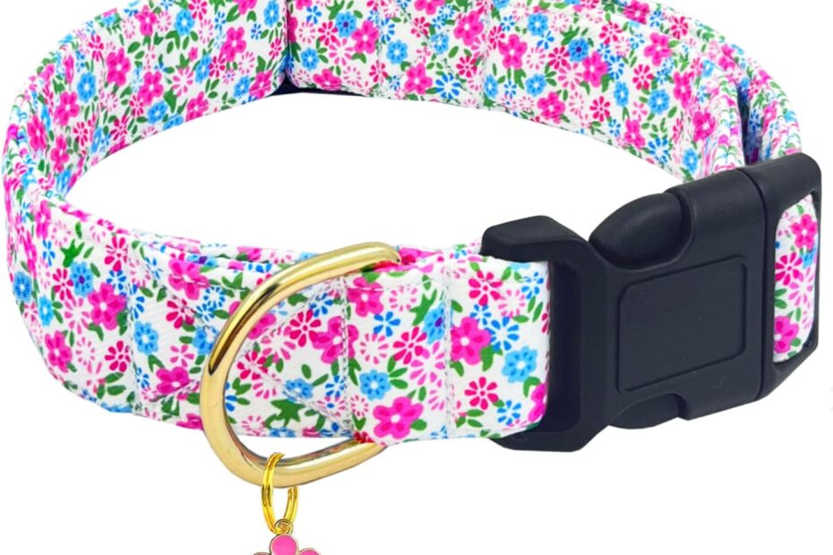 Stylish & Durable: The TEEMERRYCA Floral Print Dog Collar Review
