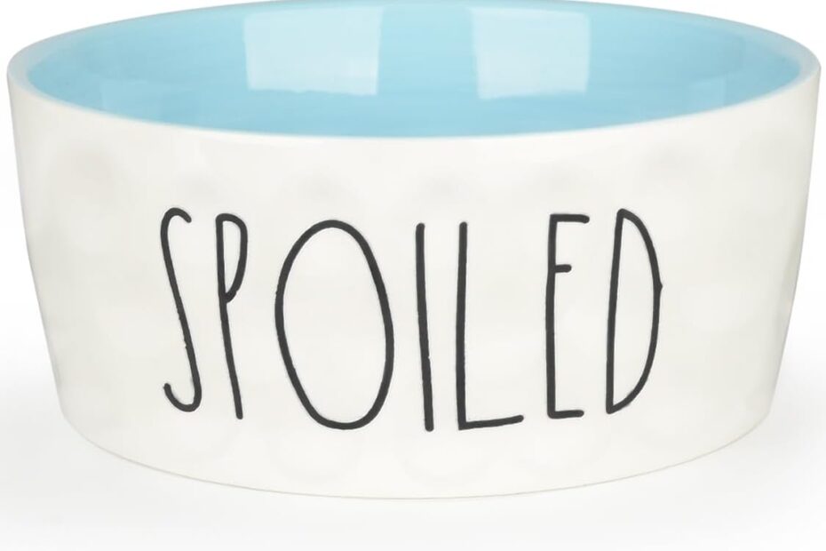 Stylish & Functional: Review of the 27OZ Ceramic Dog Bowl for Your Medium Pup