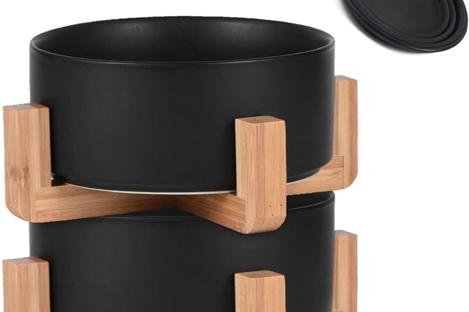 Stylish & Functional: Review of the Petygooing Ceramic Black Cat Dog Bowl Set
