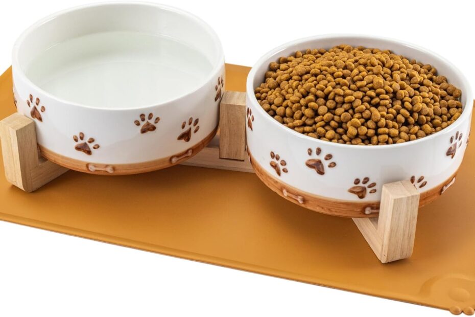 Stylish & Functional: The Perfect Ceramic Dog Bowls for Your Medium Pup!