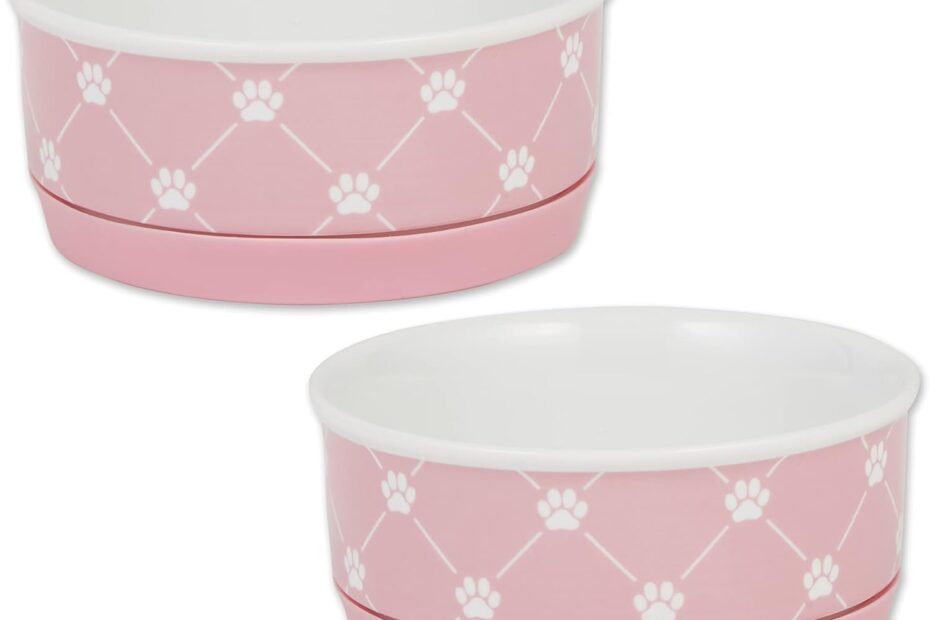Stylish & Reliable: Bone Dry Trellis Paw Print Pet Bowl Review