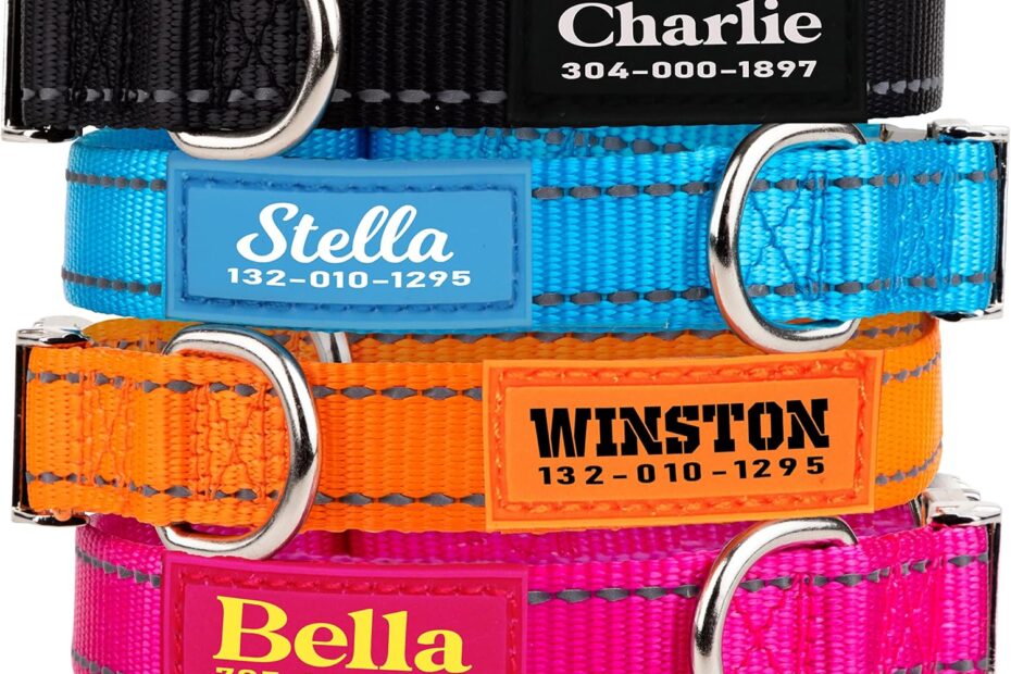 Stylish & Safe: PAWBLEFY Personalized Reflective Dog Collars for Every Pup