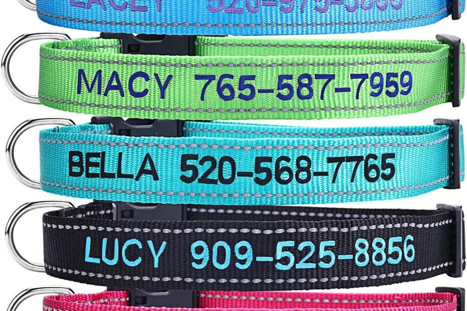 Stylish & Safe: The Personalized Dog Collar Every Pet Owner Needs!