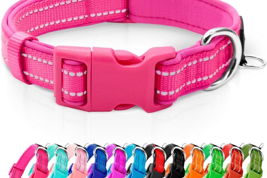 Stylish Safety: A Review of the Azuza Reflective Dog Collar for Small Dogs