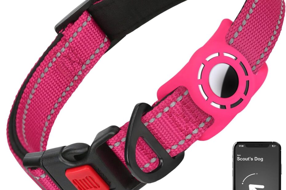 Stylish Safety: The Ultimate Airtag Dog Collar for Small Breeds