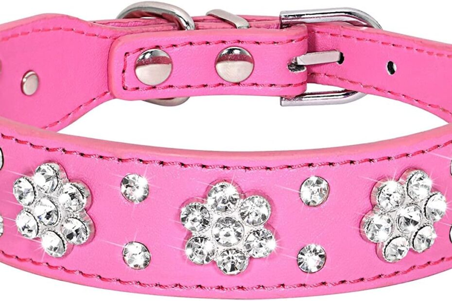 Stylish & Sparkly: Review of the Serijoars Rhinestone Dog Collar in Hot Pink