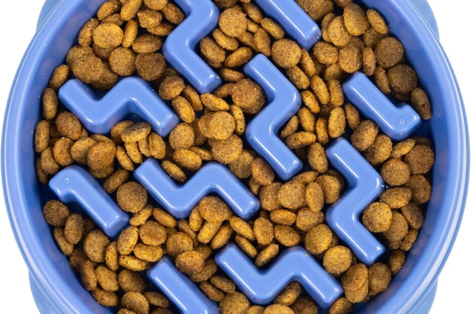 Tame Your Pup's Appetite: Outward Hound Slow Feeder Bowl Review