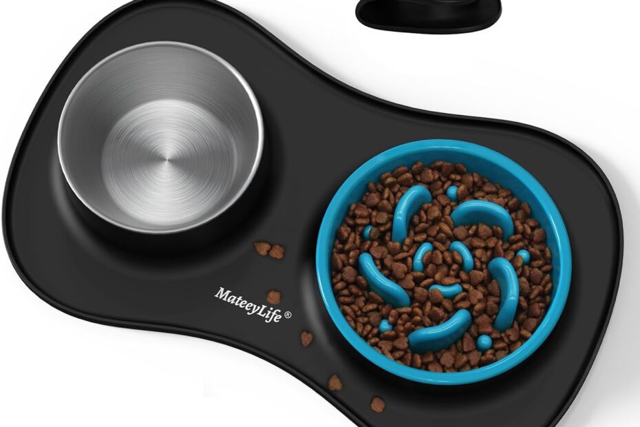 The Ultimate 3-in-1 Dog Bowl Set: MateeyLife Review for Pet Owners