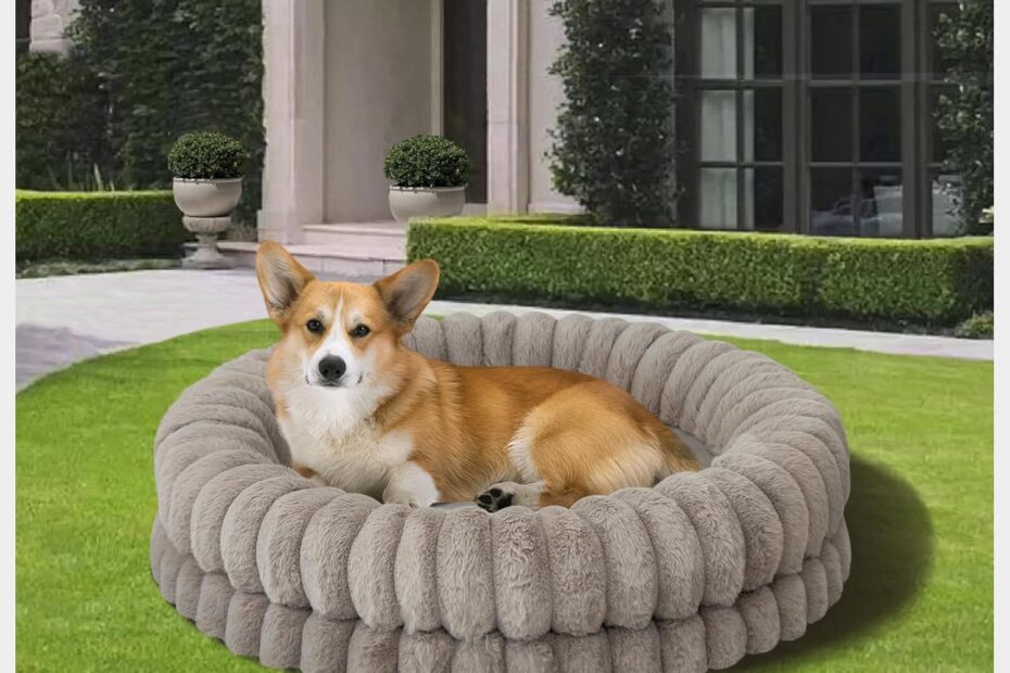 The Ultimate Comfort: BALANCE Luxury Donut Dog Bed Review