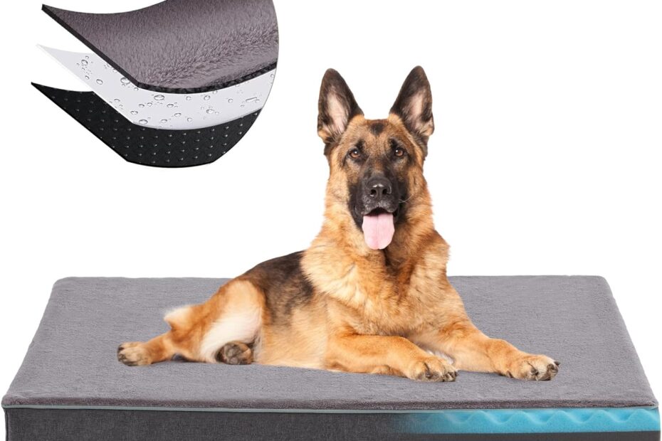 The Ultimate Comfort: Review of the Orthopedic Memory Foam Dog Bed for Large Dogs