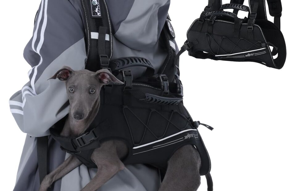 The Ultimate Dog Backpack Carrier: Comfort & Support for Your Small Dog!