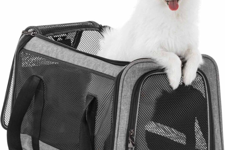 The Ultimate Guide to the Petsfit Cat & Small Dog Carrier: Comfort Meets Safety!
