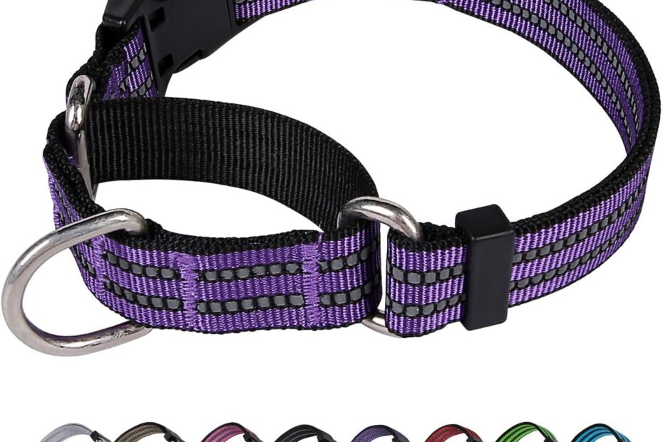 The Ultimate Martingale Dog Collar: Adjustable, Reflective & No Pull - Perfect for Every Pup!