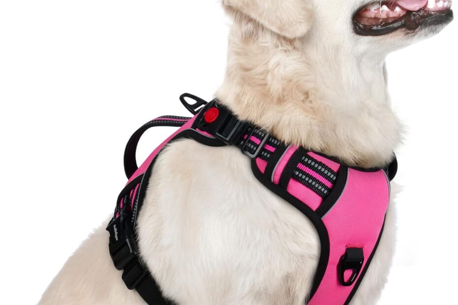 The Ultimate No-Pull Solution: Rabbitgoo Dog Harness Review for Large Dogs