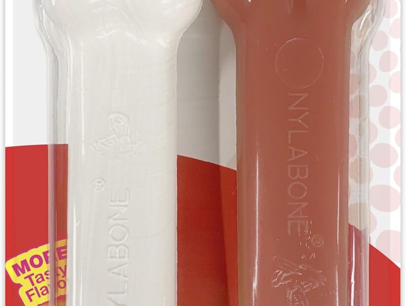 The Ultimate Nylabone Power Chew Review: Durable Delight for Aggressive Chewers!