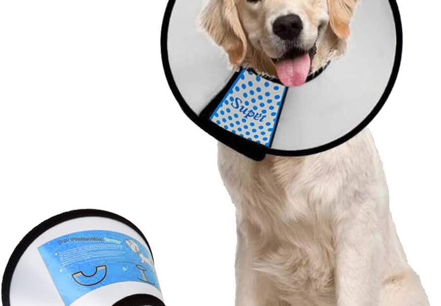 The Ultimate Recovery Solution: Supet Adjustable Dog Cone Collar Review