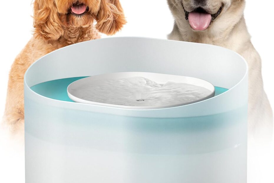 The Ultimate Review of the PETLIBRO Dog Water Fountain: Hydration Made Easy!