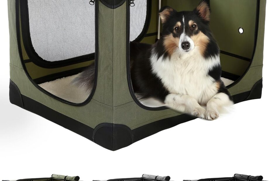 The Ultimate Travel Companion: Review of the 24 Inch Collapsible Dog Crate for Active Adventurers