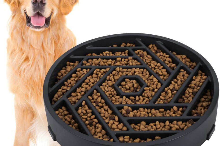 Tobyto Slow Feeder Bowls: The Ultimate Solution for Healthy Dog Eating