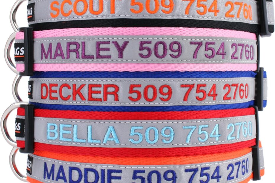 Top Pick for Personalized Pet Safety: GoTags Reflective Dog Collar Review