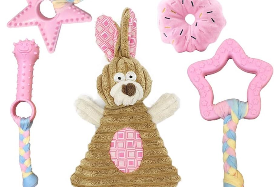Top Picks for Puppy Teething: 5 Essential Chew Toys for Small Dogs!