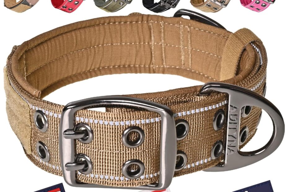 Tough & Reliable: ADITYNA Reflective Heavy Duty Dog Collar Review