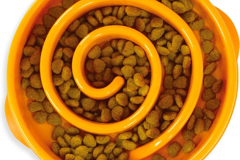 Transform Mealtime: Outward Hound Slow Feeder Bowl for Happy, Healthy Dogs!