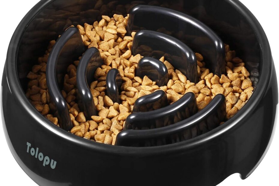 Transform Mealtime: Review of the Large Slow Feeder Dog Bowl for Healthier, Happier Pets