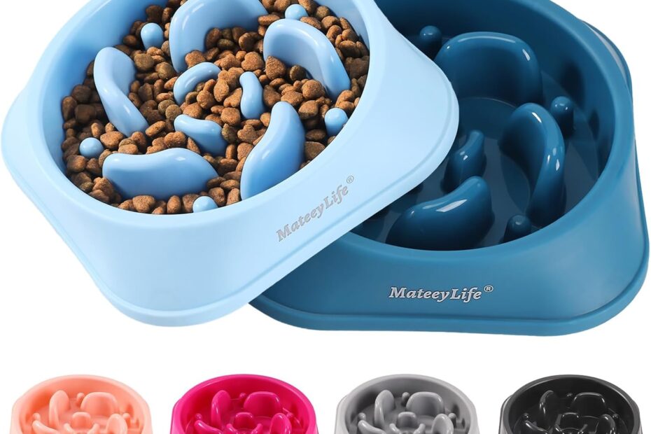 Transform Mealtime: Reviews of MateeyLife Slow Feeder Dog Bowls