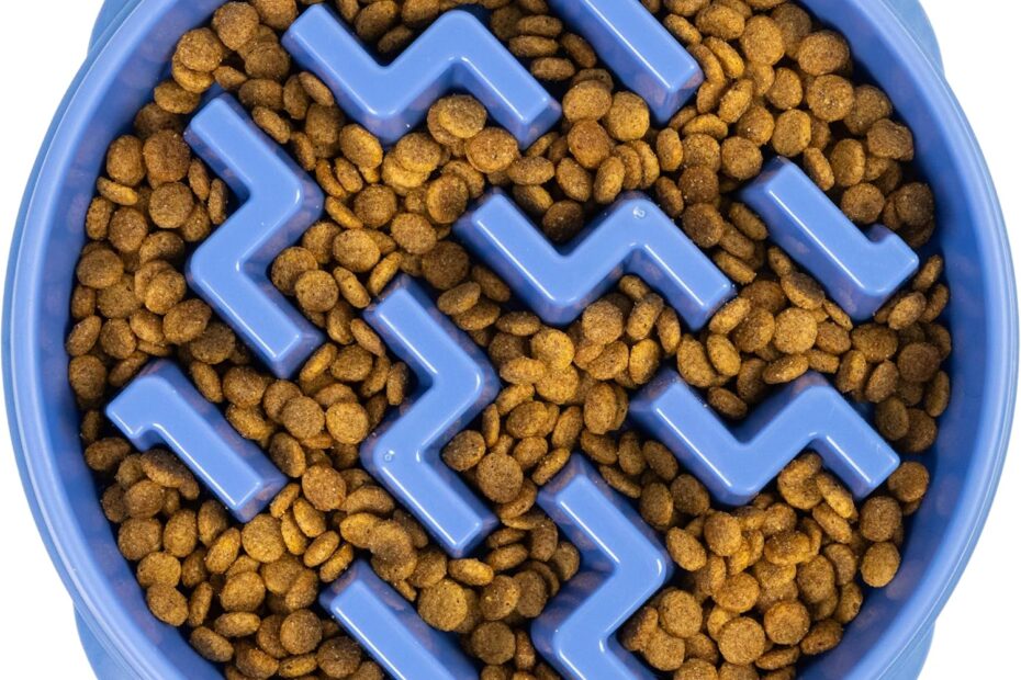 Transform Mealtime: The Outward Hound Slow Feeder Bowl Review!