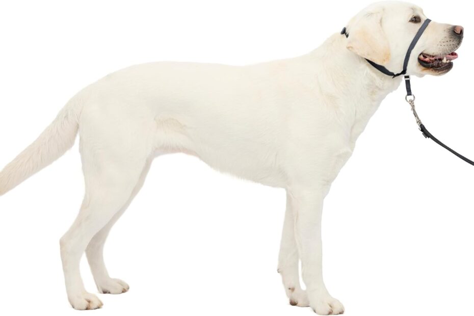 Transform Walks with the PetSafe Gentle Leader: The Ultimate No-Pull Solution for Your Dog!