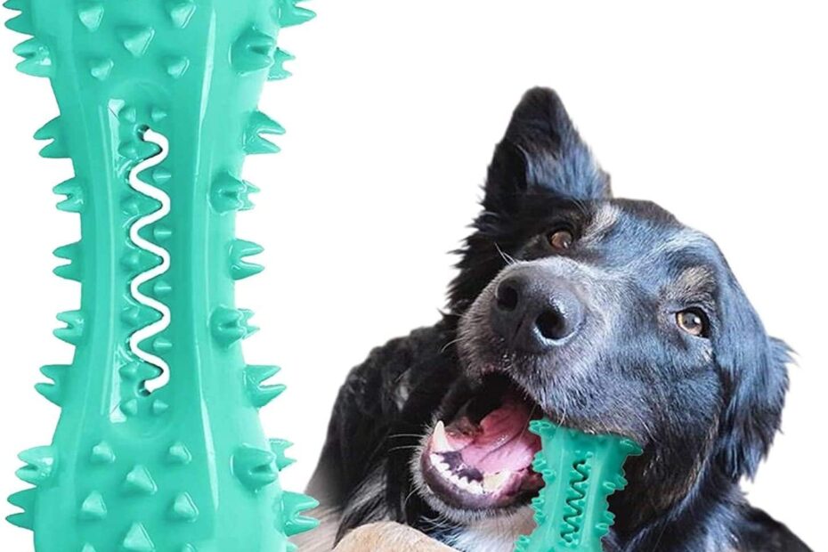 Transform Your Dog's Dental Care: The Ultimate Toothbrush Chew Toy