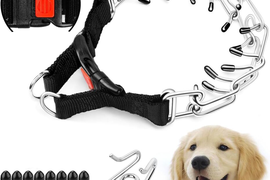 Transform Your Dog's Training: Supet Adjustable Prong Collar Review