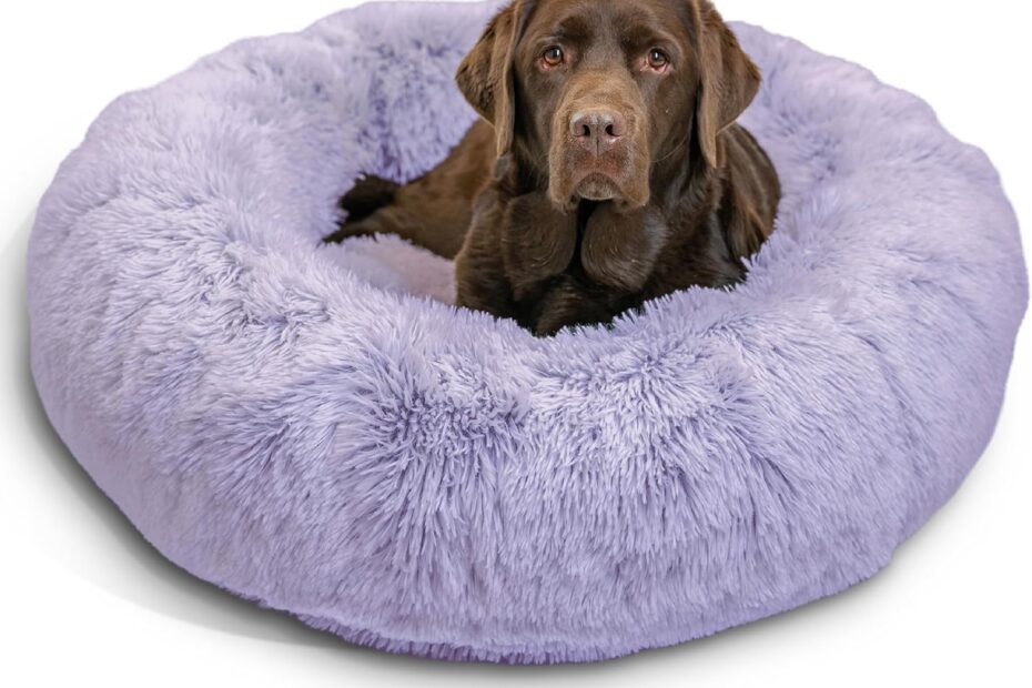 Transform Your Pet's Comfort: Best Friends by Sheri Calming Donut Bed Review