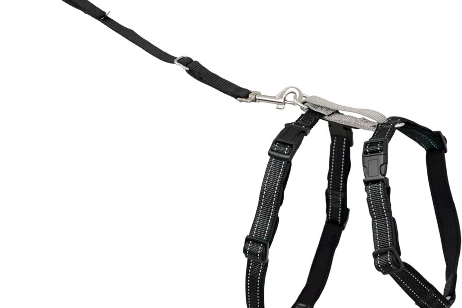 Transform Your Walks: The PetSafe 3-in-1 Harness Review!