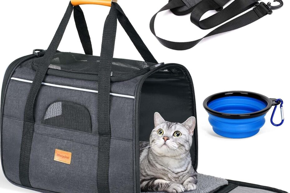 Travel in Comfort: Morpilot Soft Cat Carrier Review