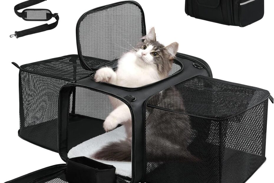 Travel in Comfort: Review of the Airline Approved Soft Pet Carrier for Small Pets