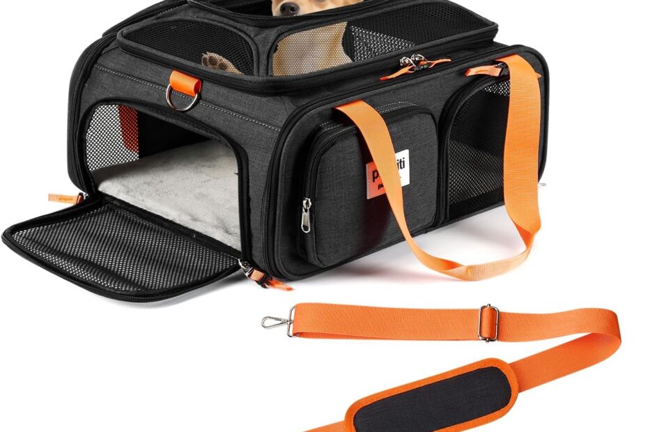 Travel in Comfort: Review of the Frontier Allegiant Airlines Approved Expandable Pet Carrier